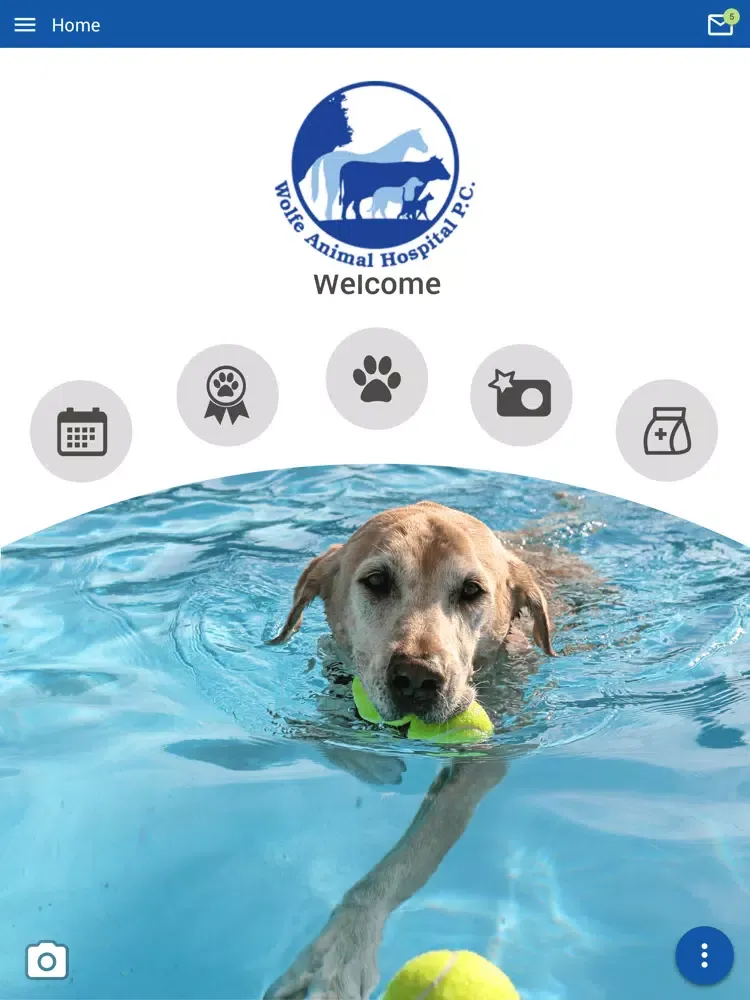 Ảnh chụp màn hình của Wolfe Animal Hospital iPad 