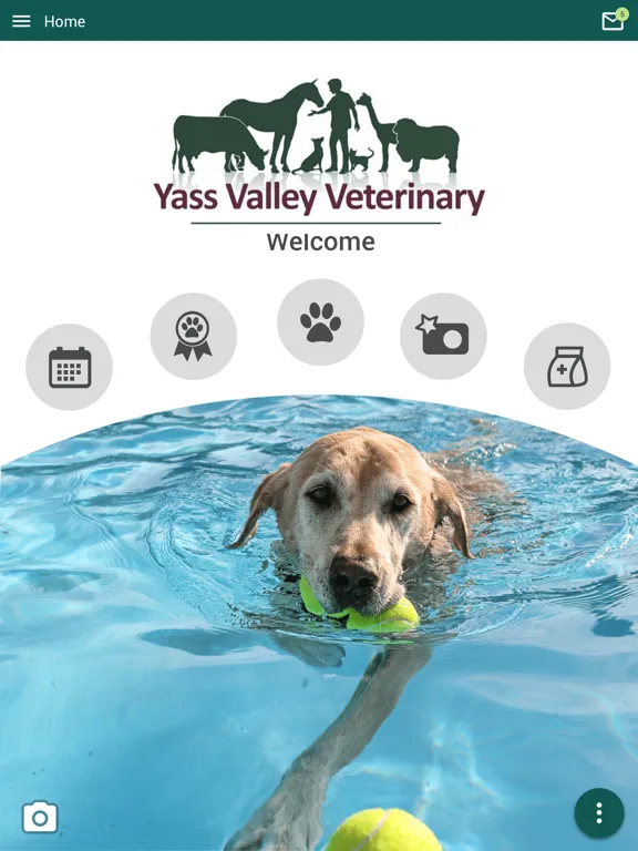 Ảnh chụp màn hình của Yass Vet iPad 
