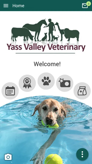 Ảnh chụp màn hình của Yass Vet