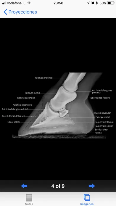 Radiología equina سکرین شاٹس