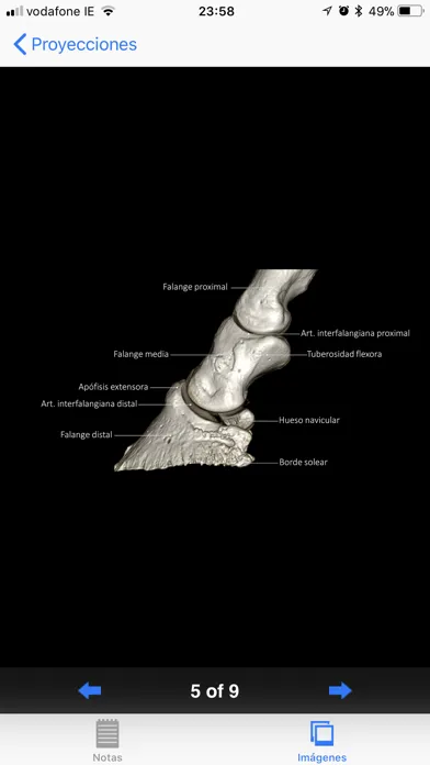 Radiología equina سکرین شاٹس