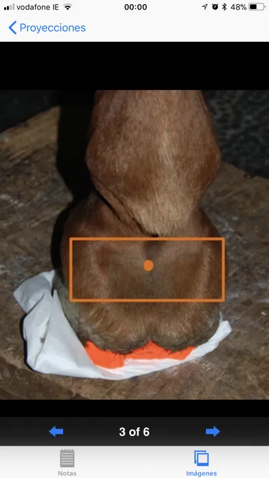 Radiología equina سکرین شاٹس