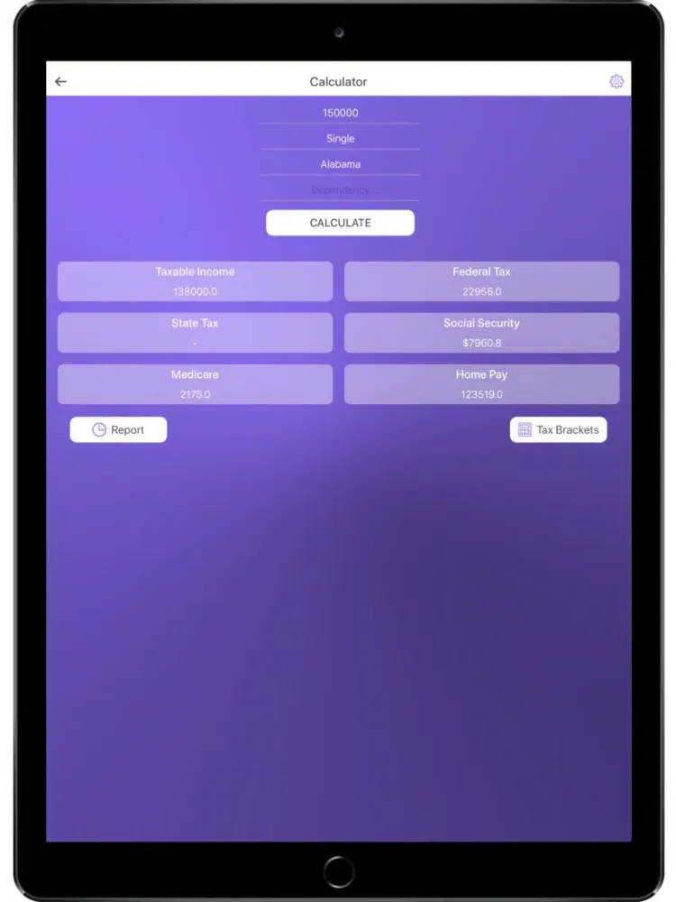 GST / HSN / Tax Calculator iPad 应用截图
