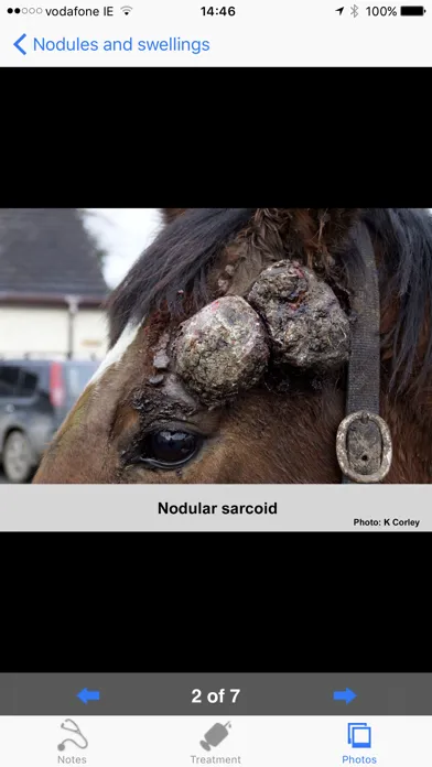 Capturas de tela do Equine Dermatology