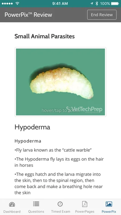 VetTechPrep - VTNE® Study Tool 스크린샷
