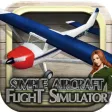 Cessna 3D flight simulator Cessna 3D flight simulator