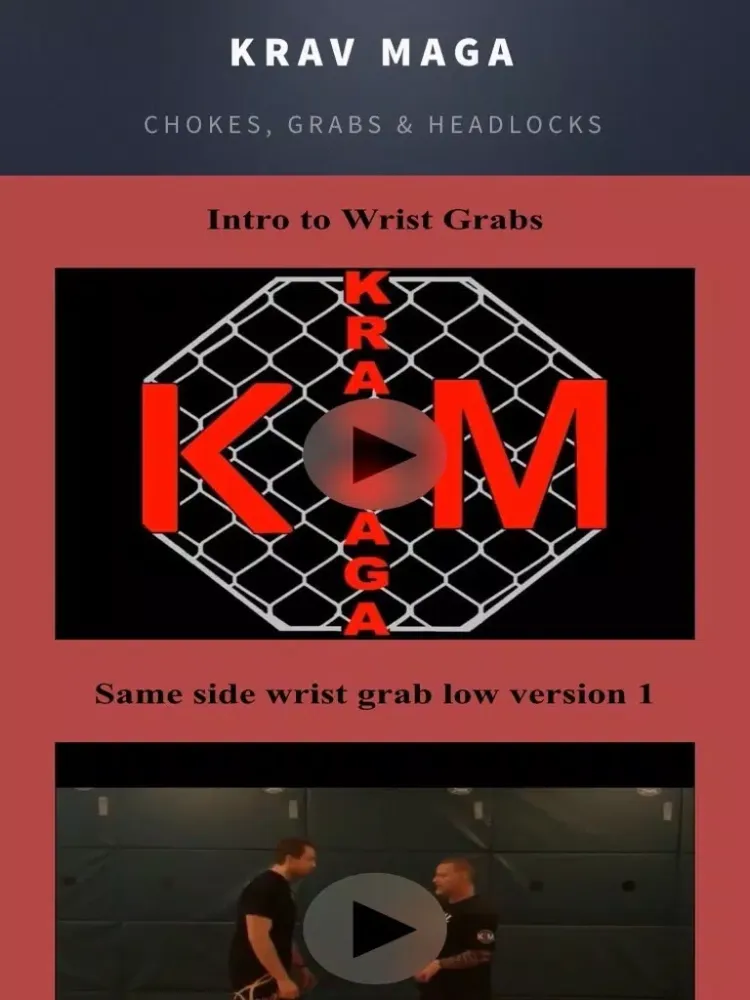 Krav Maga 1 iPad  Screenshots