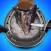 Horse Hoof Restoration
