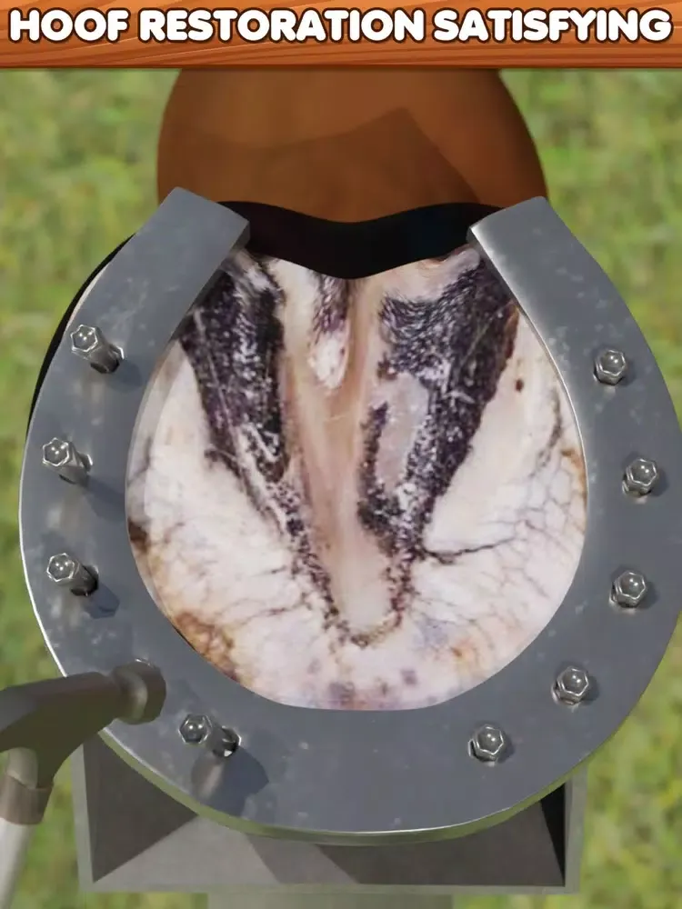 Screenshot di Horse Hoof Restoration iPad 