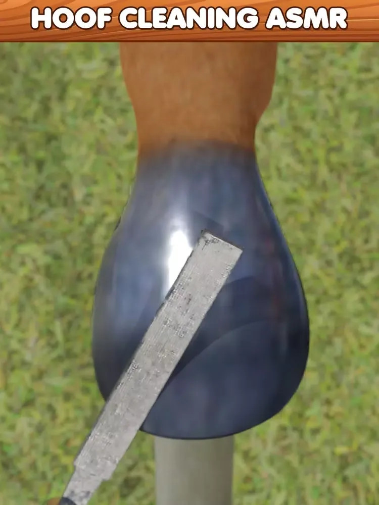 Screenshot di Horse Hoof Restoration iPad 