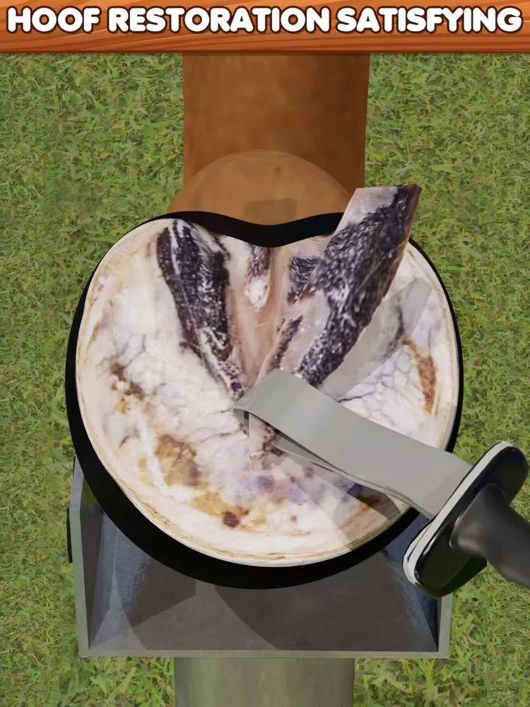 Screenshot di Horse Hoof Restoration iPad 