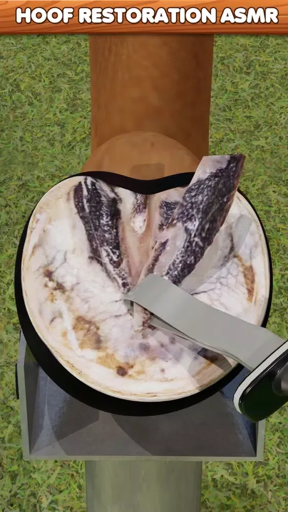 Screenshot di Horse Hoof Restoration