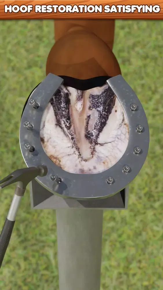 Screenshot di Horse Hoof Restoration