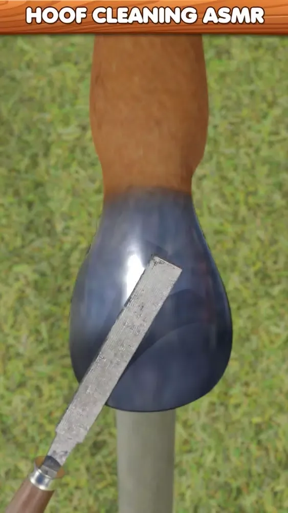 Screenshot di Horse Hoof Restoration