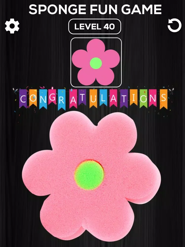 تصاویر DIY Sponge Squishy Toys Maker iPad 