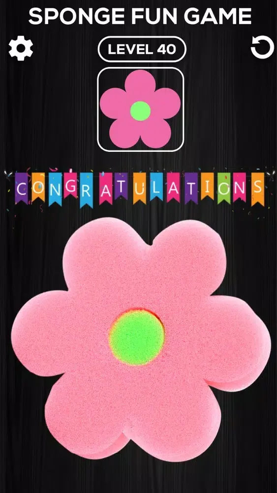 تصاویر DIY Sponge Squishy Toys Maker