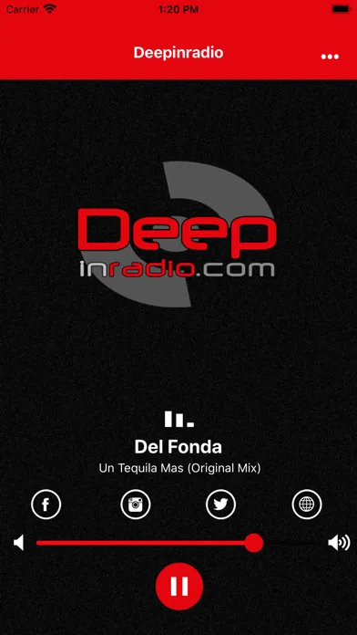 Deepinradio スクリーンショット