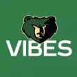 Basha High School VIBES