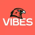 Bozeman High School VIBES