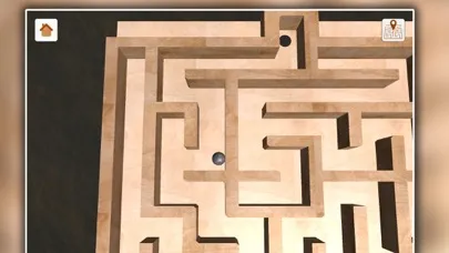 Labyrinth Trap Escape应用截图