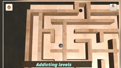 How To Escape Maze 스크린샷
