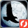 Moon Bird VR