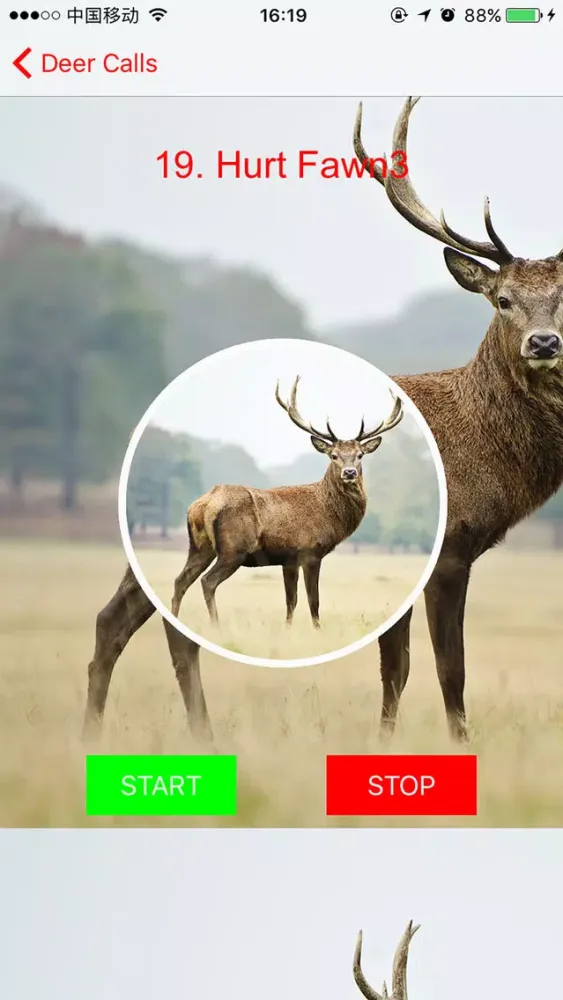 Deer Hunting Calls Plus سکرین شاٹس