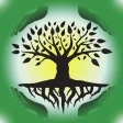 Family Tree Designer Family Tree Designer