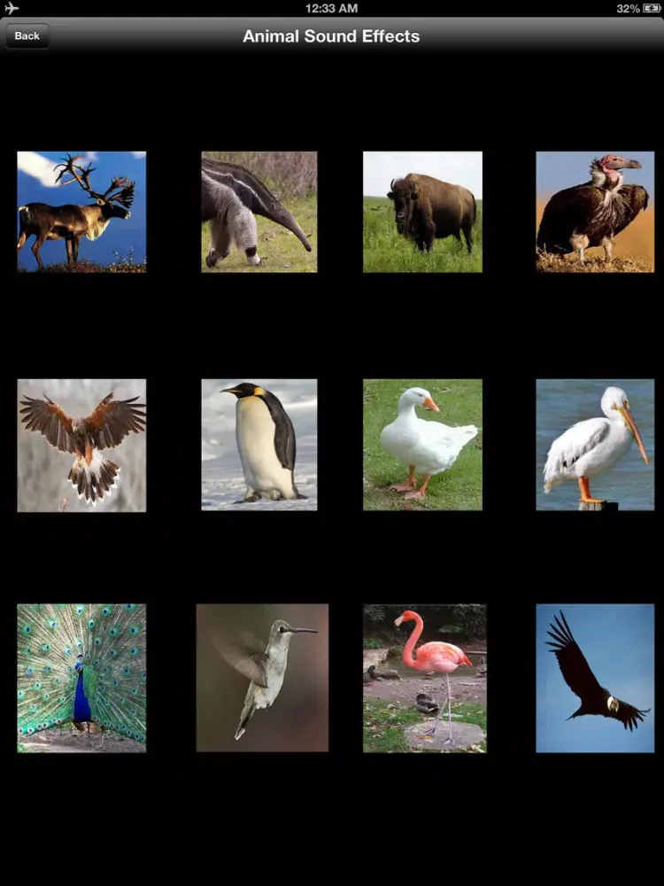 Animal Sound Effects Free iPad  স্ক্রিনশট