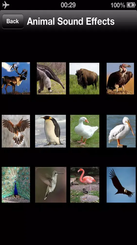 Animal Sound Effects Free স্ক্রিনশট