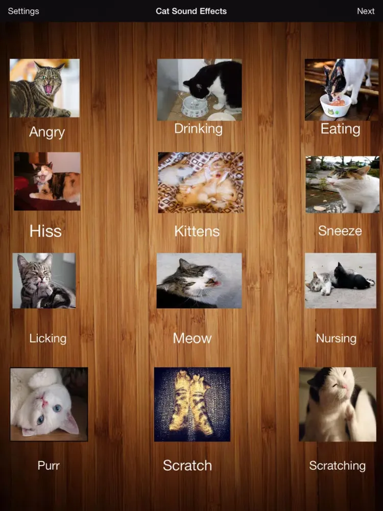 Cats & Dogs Sound Effects Free iPad  スクリーンショット