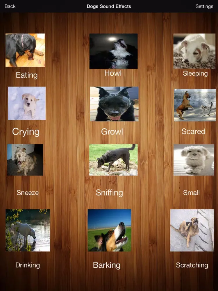 Cats & Dogs Sound Effects Free iPad  スクリーンショット