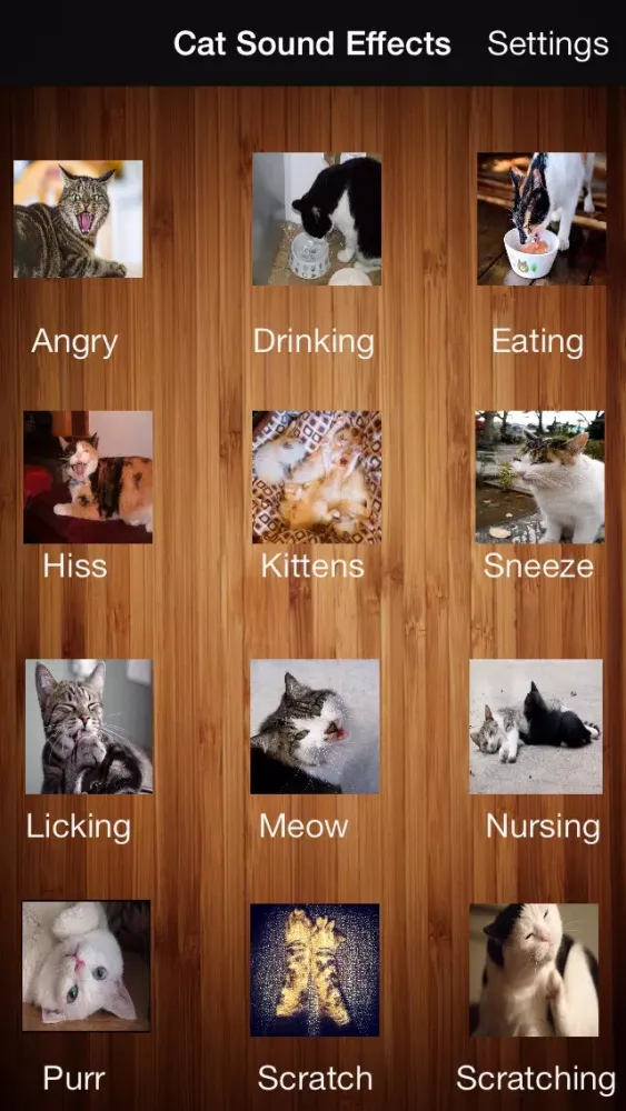 Cats & Dogs Sound Effects Free スクリーンショット