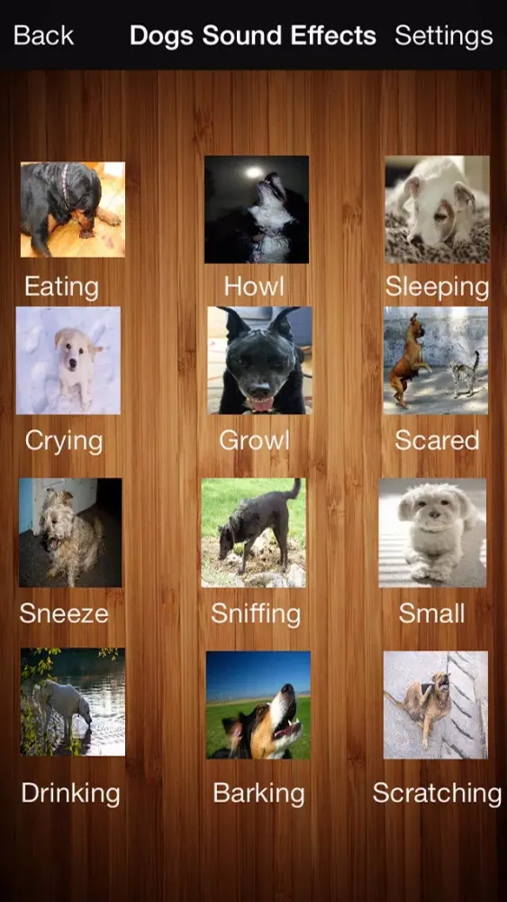 Cats & Dogs Sound Effects Free スクリーンショット