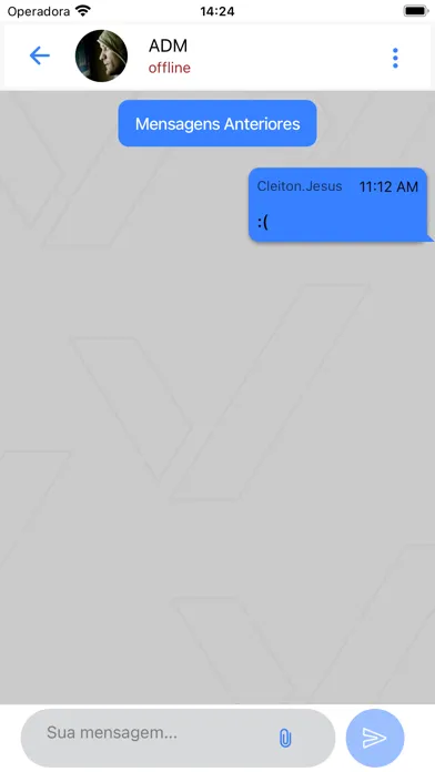 Скриншоты VChat