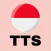 Teks ke ucapan alami - TTS