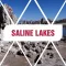 Saline Lakes