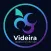 Videira em Cascavel - PR
