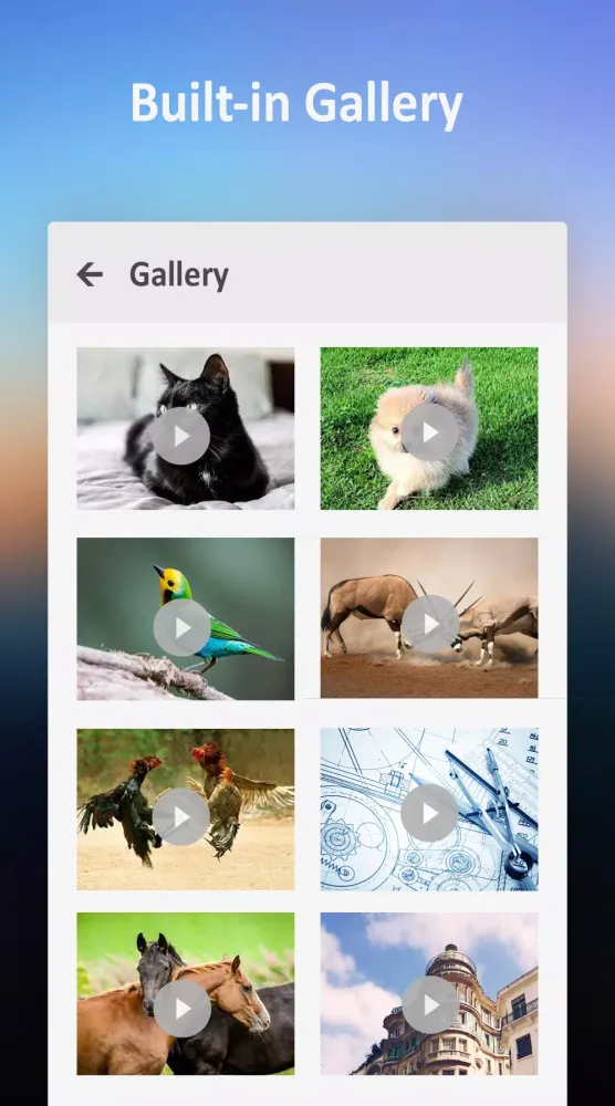 Video Player 2024應用截圖
