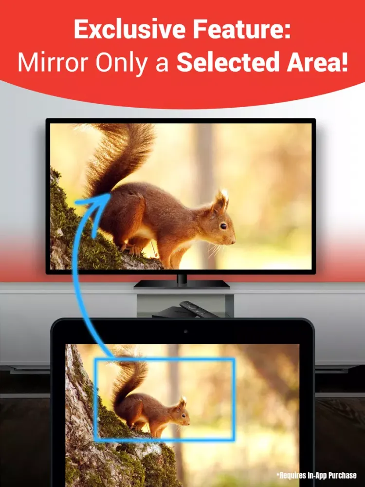Screen Mirror for Fire TV+ iPad  स्क्रीनशॉट