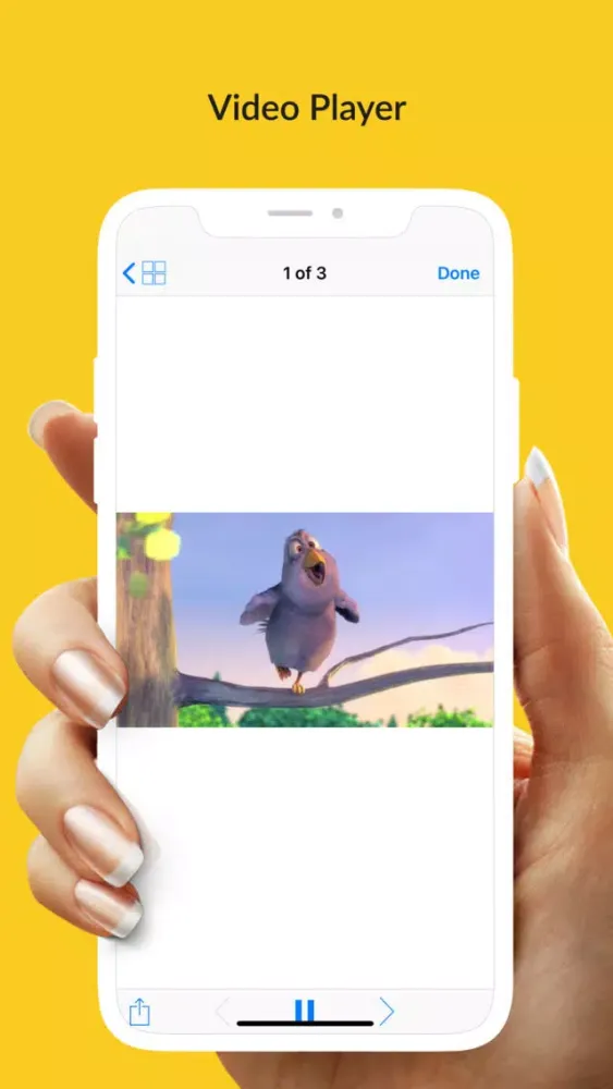 Video Manager and Filetransfer Ekran Görüntüleri