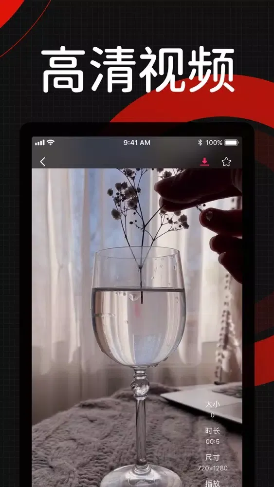 Screenshot di 素材君-闪电素材视频库