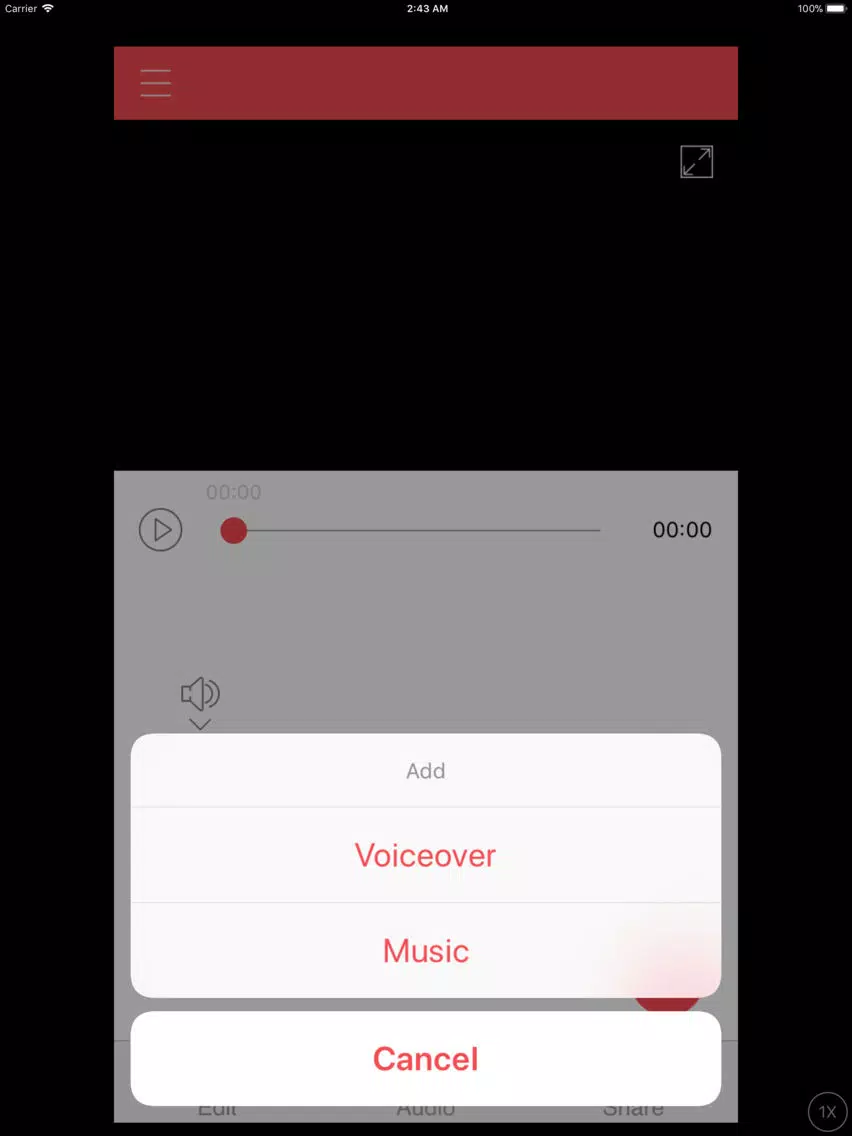 Screenshot di ViMoJo iPad 