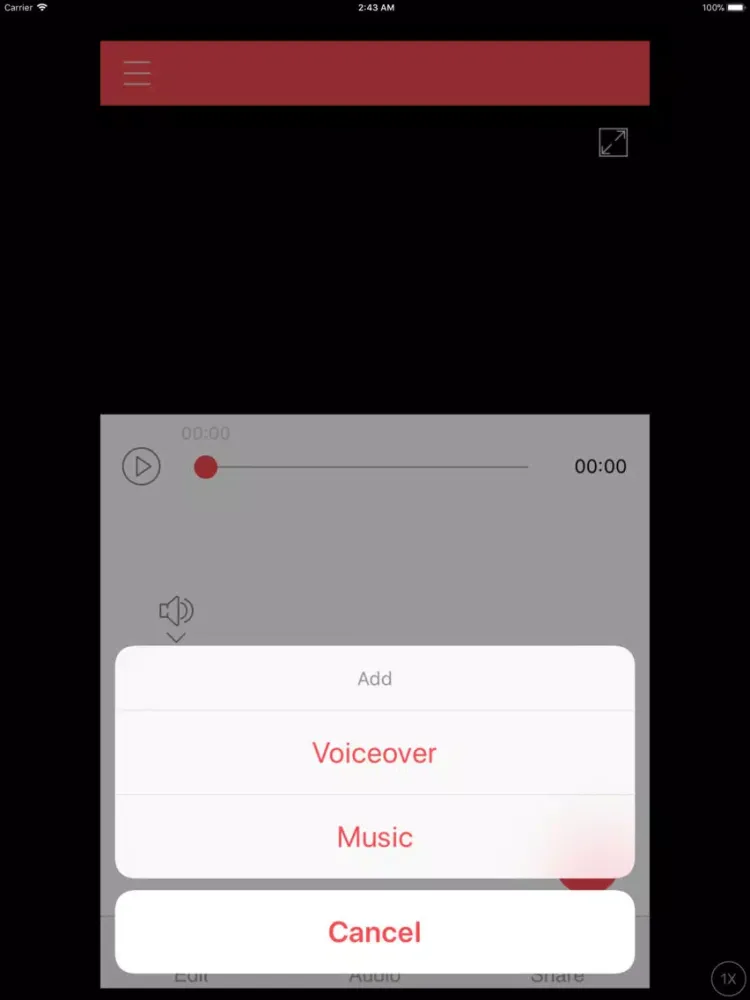 Screenshot di ViMoJo iPad 