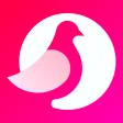 VidiChat: Live Video Chat