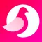 VidiChat: Live Video Chat