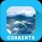 Noaa Current Predictions HD