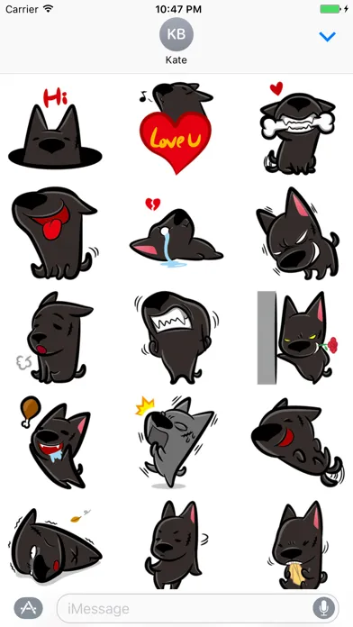 تصاویر Little Dog