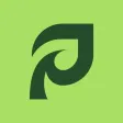 Plantopia - Plant Identifier Plantopia - Plant Identifier
