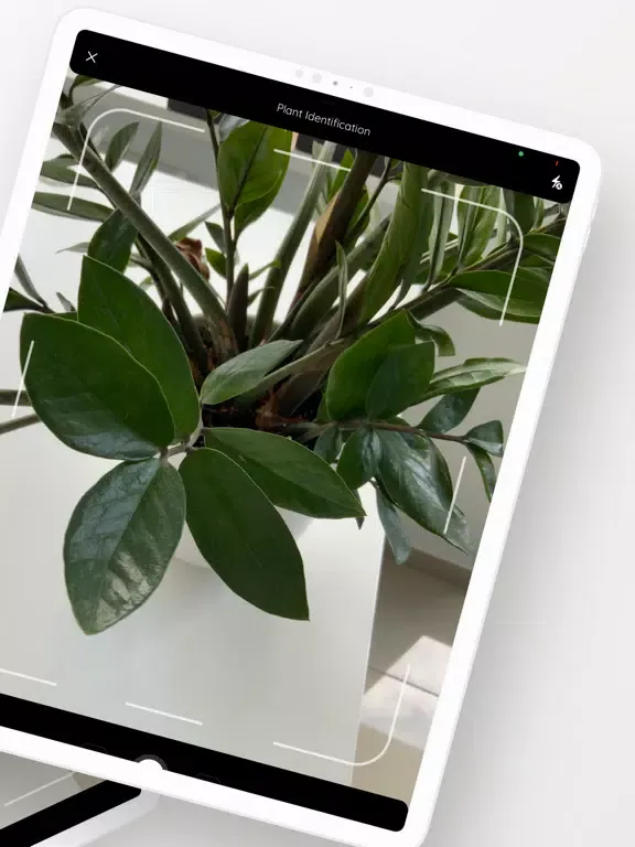 Plantopia - Plant Identifier iPad  स्क्रीनशॉट